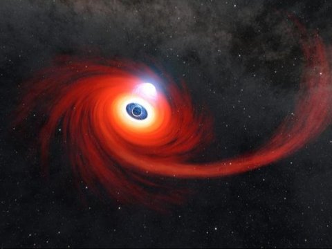 Astronomers Astonished by the Appearance of a Massive and Mysterious Black Hole near Earth