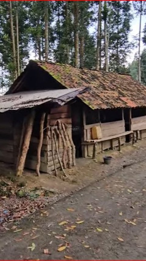 Warung Tengah Hutan di Banjarnegara Ini Konon Telah Berusia Satu Abad, Begini Penampakannya