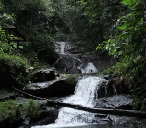 Air Terjun Kilat Api Hingga Bukit Langara yang Memanjakan Mata di Geopak Meratus