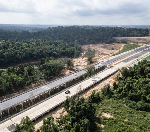 FOTO: Penampakan Jalan Tol IKN yang Membelah Hutan Kalimantan, Pembangunannya Terus Dikebut Jelang HUT RI