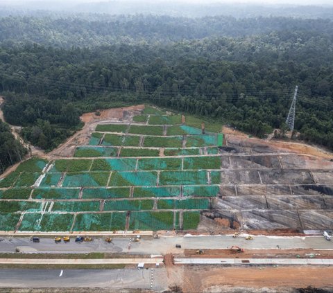 FOTO: Penampakan Jalan Tol IKN yang Membelah Hutan Kalimantan, Pembangunannya Terus Dikebut Jelang HUT RI