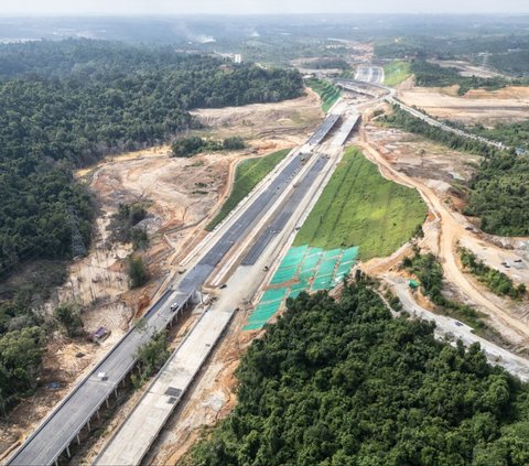 FOTO: Penampakan Jalan Tol IKN yang Membelah Hutan Kalimantan, Pembangunannya Terus Dikebut Jelang HUT RI