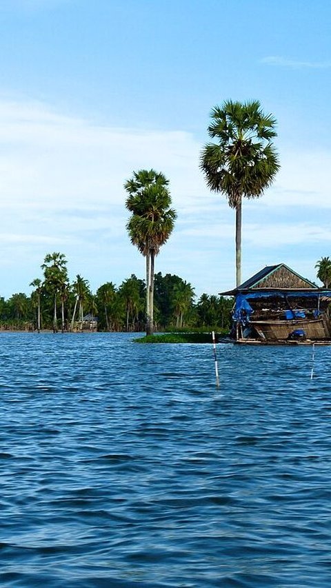 5 Fakta Unik Danau Tempe, Terbentuk Bersamaan dengan Pulau Sulawesi