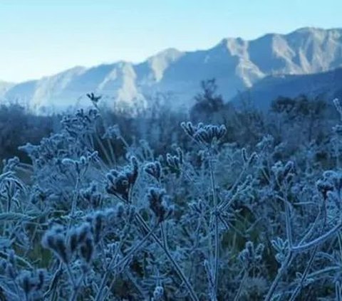 The Terrifying Phenomenon of Tornado in Bromo, Here's the Explanation from TNBTS