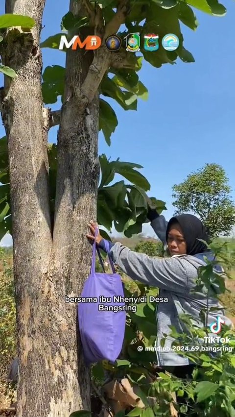 Di awal video, para mahasiswa mencari dedaunan yang merupakan salah satu bahan utama untuk membuat ecoprint bersama Bu Nheny, warga setempat yang memang biasa membuat ecoprint.