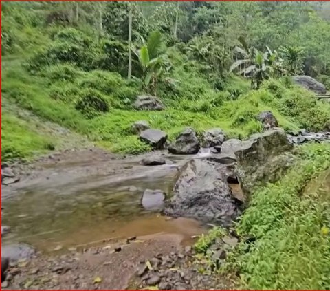 Mengunjungi Kampung Mati di Tengah Hutan Purbalingga, Kini Tinggal Sisakan Satu Keluarga