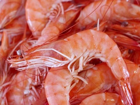 Tips Mengolah Kepala Udang