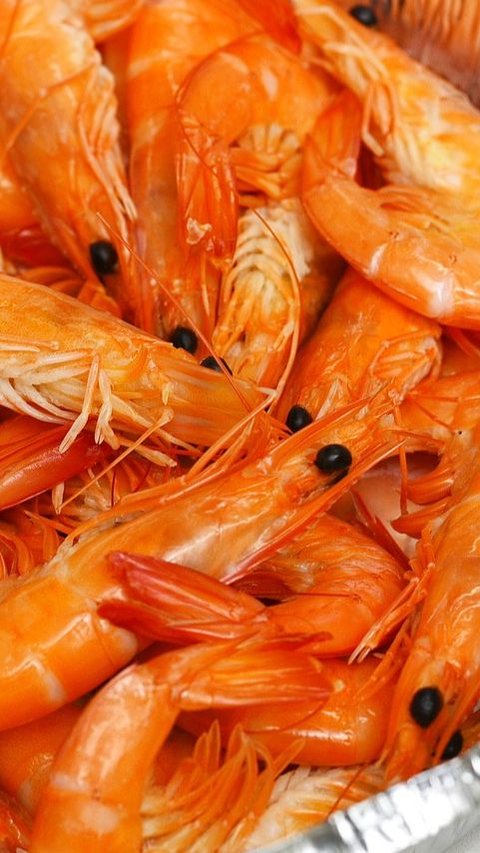 6 Manfaat Kepala Udang untuk Kesehatan, Efektif Turunkan Kolesterol Jahat