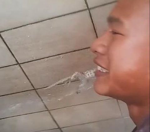 Really Bad! Want to Take Wudhu Water, This Student's Ear Leaf Instead Becomes a Tokay Swing, Bitten Until It's Hard to Release