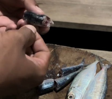 Dapat Ikan Besar, Momen Pria Mancing di Dalam Rumah Ini Curi Perhatian