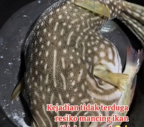 Dapat Ikan Besar, Momen Pria Mancing di Dalam Rumah Ini Curi Perhatian