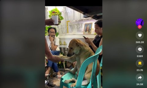 Potret Kesetiaan Anjing kepada Tuannya yang Meninggal, Terus Berada di Samping Jenazah Sambil Salami Pelayat