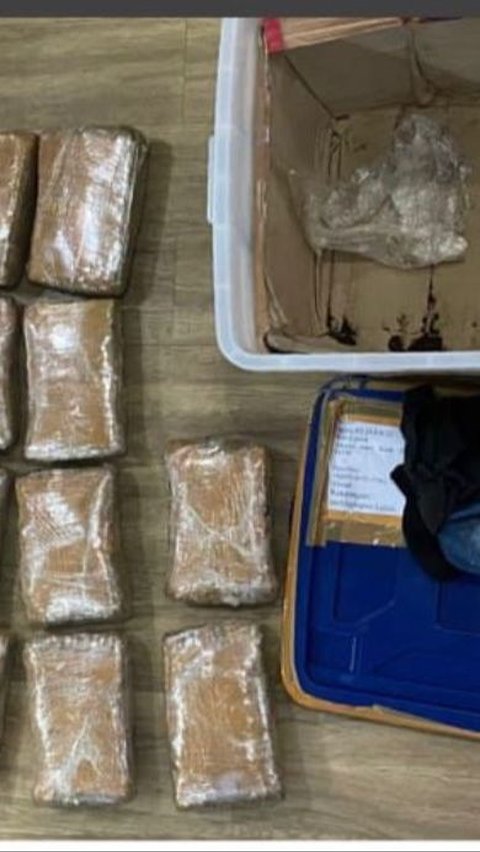 Polisi Bongkar Peredaran Narkoba di Tanjung Priok, 30 Kilogram Ganja Disita