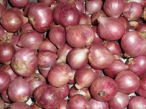 Bawang Merah Nganjuk