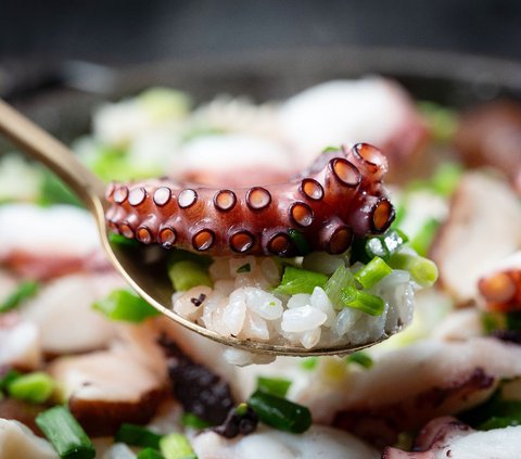 8 Tricks for Cooking Octopus, Free from Fishy Smell and with a Soft Texture