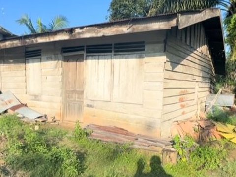 Penampakan Rumah Transmigrasi Tahun 1986 di Kalimantan Tengah yang Masih Berdiri Kokoh, Dikelilingi Pohon Besar dan Rumput Liar