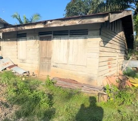 Penampakan Rumah Transmigrasi Tahun 1986 di Kalimantan Tengah yang Masih Berdiri Kokoh, Dikelilingi Pohon Besar dan Rumput Liar