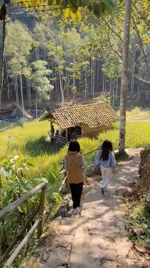 Warung di Sumedang Ini Ramai Dikunjungi Muda-Mudi, Pemandangan Sawah dan Sungai Jadi Daya Tarik