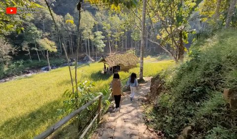 Letaknya di Tengah Sawah