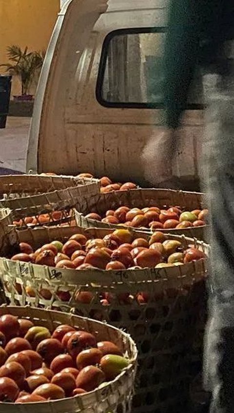 Mosque in Jogja Buys 9 Tons of Vegetables at Normal Price When Prices Drastically Drop