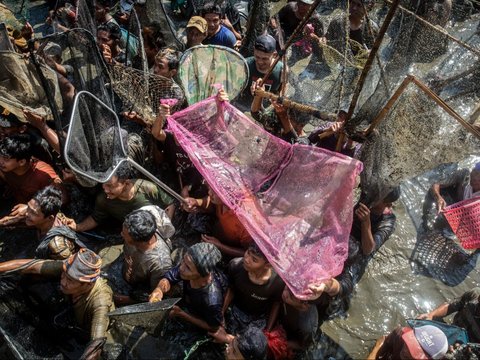 FOTO: Desak-Desakan Nyebur ke Air, Ribuan Warga Klaten Rebutan Serok 2 Ton Ikan di Waduk Gumblegan