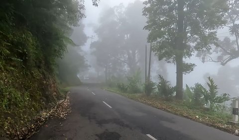 Jarang Ditemukan Tempat Tinggal