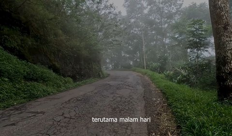 Jadi Tempat Munculnya Siluman Buaya