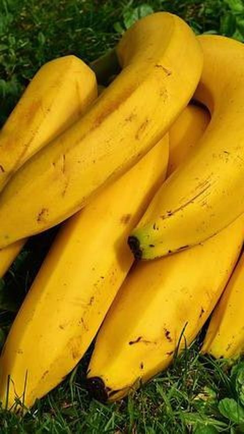 <b>Tak Dijumpai di Wilayah Lain, Majalengka Kenalkan Varietas Pisang Apuy dan Bawang Nunuk yang Punya Rasa dan Tekstur Spesial</b>