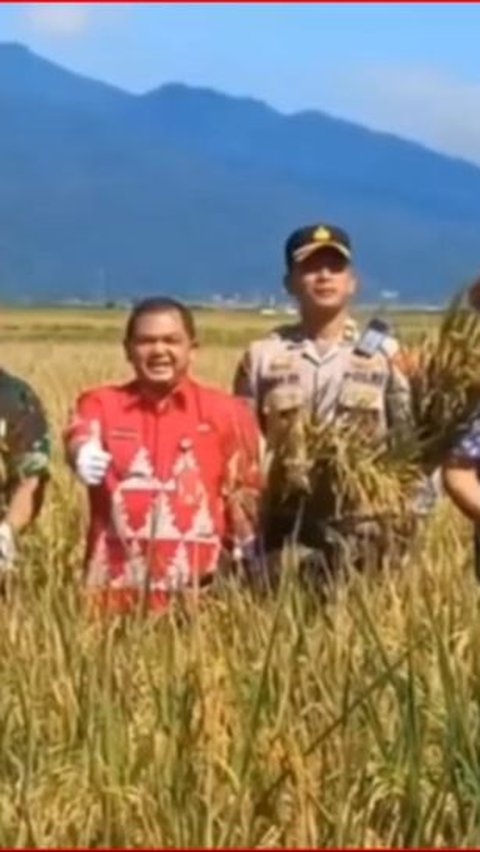 Kelompok Tani di Semarang Ini Buktikan Hasil Panen Lebih Produktif Gunakan Pupuk Organik, Lebih Ekonomis dan Bikin Tanah Subur