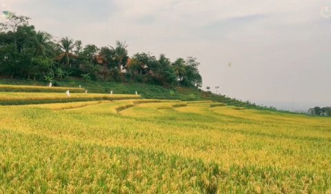 Dekat dengan Dua Destinasi Asyik