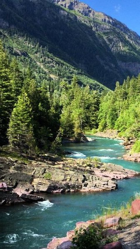 Sungai Terpendek Kedua Ternyata Ada di Indonesia, Airnya Jernih Cuma Punya Panjang 20 Meter