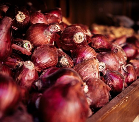 Cara Menanam Bawang Merah dari Biji, Dijamin Cepat Panen