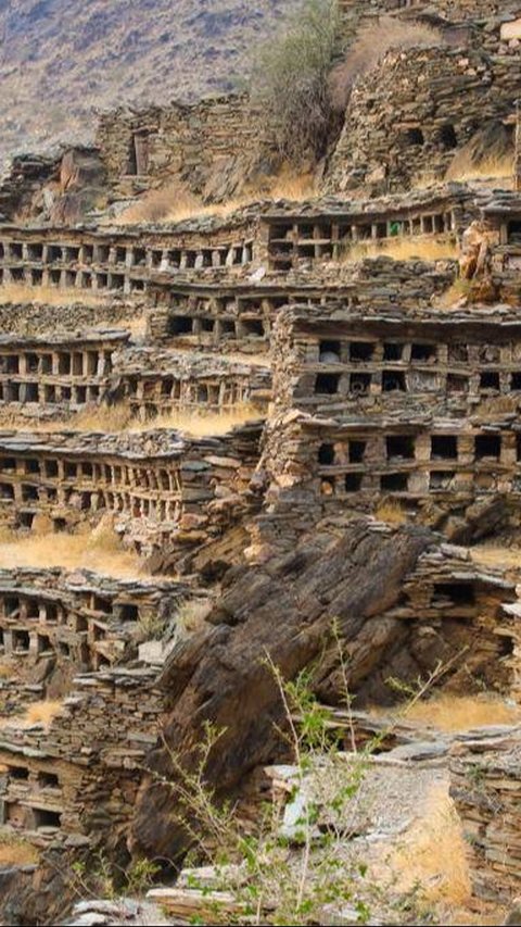 Sarang Lebah di Saudi Ini Masih Utuh dan Kokoh Meski Berusia 1.000 Tahun, Bercokol di Atas Bukit Batu