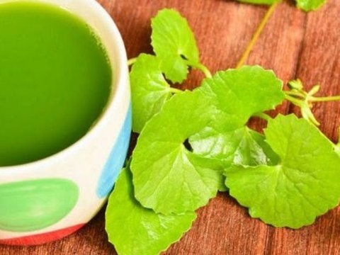 Resep Jamu Daun Pegagan