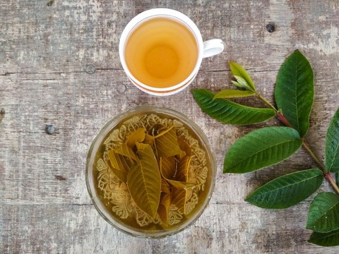 Recipe for Guava Leaf Herbal Drink