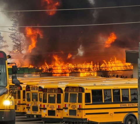 FOTO: Dahsyat Kebakaran Hutan di Kanada Sampai Hanguskan Depo Bus