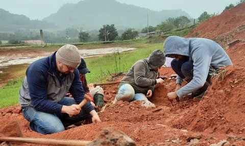 FOTO: Berusia 233 Juta Tahun, Ini Penampakan Tulang Belulang Dinosaurus Tertua di Dunia