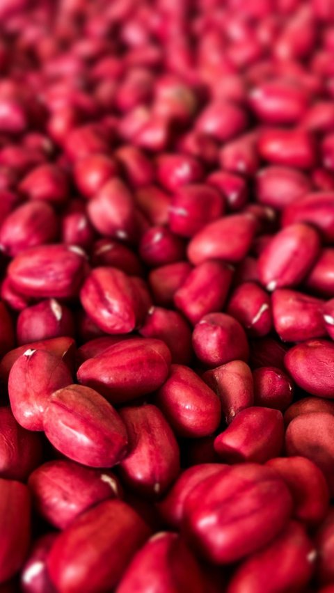 4. Kacang Merah