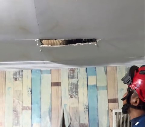 Dramatic! Firefighters Evacuate Giant Monitor Lizard Hiding in the Ceiling of a Resident's Kitchen in Karawang, Struggling Repeatedly and Almost Breaking Free