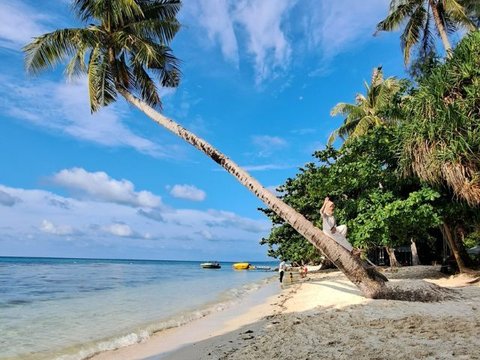 Menguak Harta Karun di Perairan Karimunjawa, Peninggalan Para Pedagang Cina hingga Kapal Selam Nazi