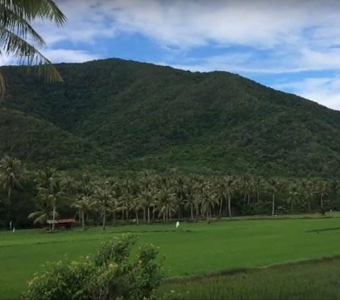 Mengenal Tokoh Ulama yang Dimakamkan di Kepulauan Karimunjawa, Salah Satunya Cucu Nabi Muhammad SAW