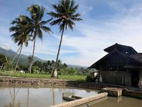 Begini Arti Balong bagi Orang Sunda, Tak Sekedar untuk Memelihara Ikan di Halaman Rumah