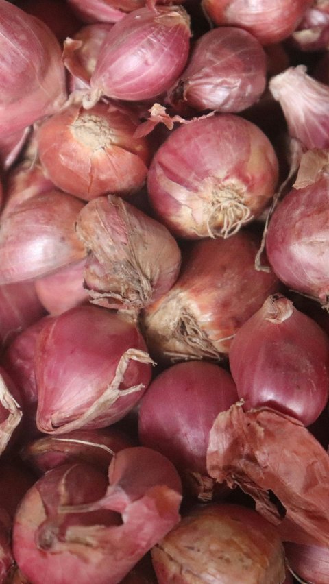 <b>10. Bawang Merah</b>