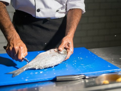 Persiapan Ikan