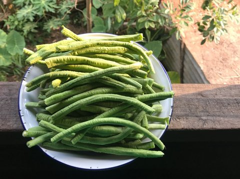 Manfaat Kacang Panjang bagi Kesehatan