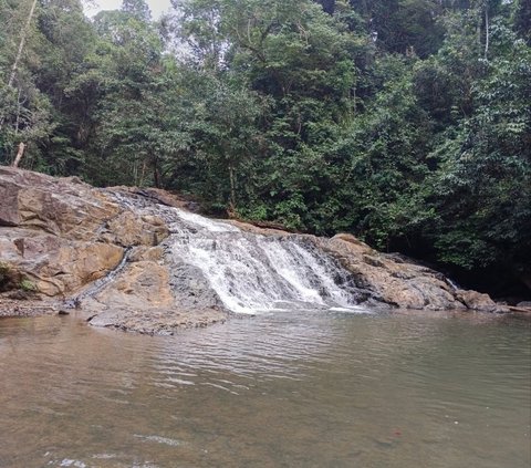 Rasa letih berjalan kaki dipastikan tak bakal dirasakan oleh pengunjung. Pasalnya, kanan kiri disuguhi pemandangan hutan yang nan sejuk, dan gemercik suara air yang mengalir.