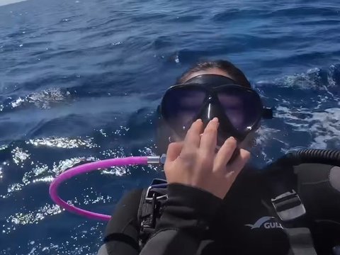 10 Potret Naysilla Mirdad saat Diving di Labuan Bajo, Dapat Pengalaman Langka Bisa Bertemu dengan Hewan Laut ini