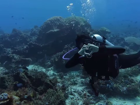 10 Potret Naysilla Mirdad saat Diving di Labuan Bajo, Dapat Pengalaman Langka Bisa Bertemu dengan Hewan Laut ini