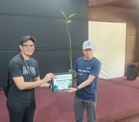 Kurangi Emisi Karbon, Perusahaan Tambang Merdeka Cooper Tanam 1.000 Bibit Mangrove