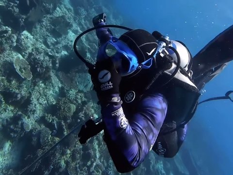 10 Potret Naysilla Mirdad saat Diving di Labuan Bajo, Dapat Pengalaman Langka Bisa Bertemu dengan Hewan Laut ini